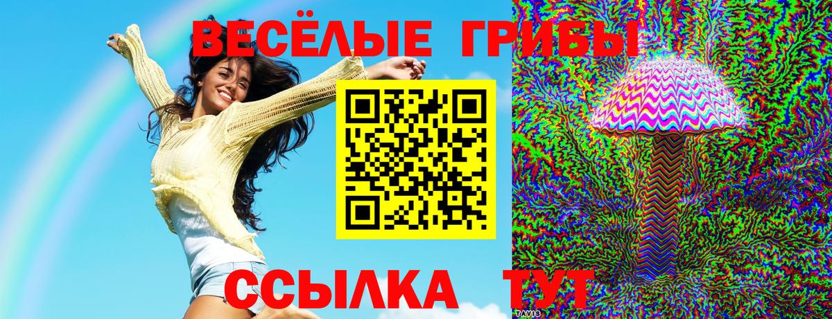Владикавказ  Галлюциногенные грибы прущие грибы  купить   Галлюциногенные грибы Magic Shrooms  Вход с VPN 